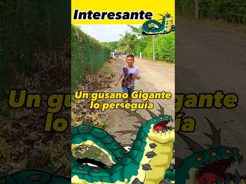 Un Gusano Gigante lo persegu铆a 馃槹馃槺 Interesante 馃槹馃槺 Asombroso