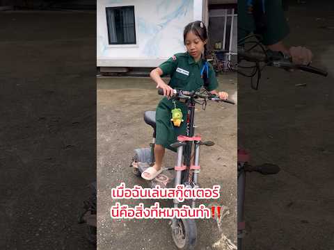 เมื่อฉันเล่นสกู๊ตเตอร์  นี่คือสิ่งที่หมาฉันทำ‼️