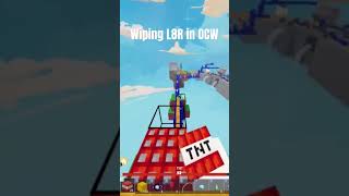 Wiping L8R in OCW
