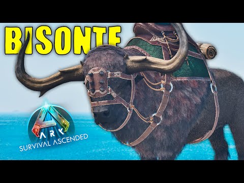 COMO TAMEAR BISONTE y TODAS SUS HABILIDADES (PC, PS, Y XBOX) - ARK Survival Ascended