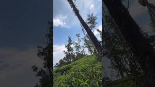 #wayanad #dheema #bmwr1300gsadventure #kerala #bandipurtigerreserve