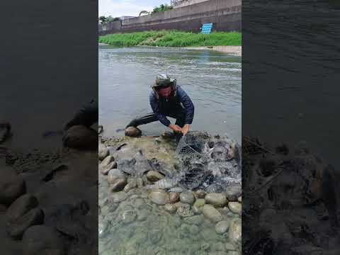 Fish Trapped #fishingtips