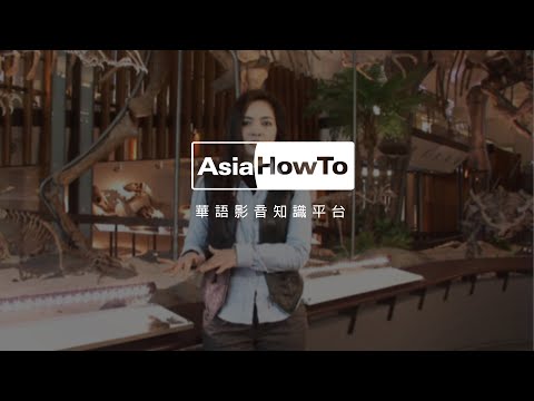 【AsiaHowTo】化石的分類 YouTube