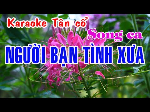 Karaoke tân cổ NGƯỜI BẠN TÌNH XƯA – SONG CA [Minh Phụng – Phượng Liên]