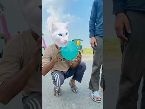 Cat na rat ke kye madat 😸🐀 #viral #trending #shorts #short #youtubeshorts #shortsfeed #comedy