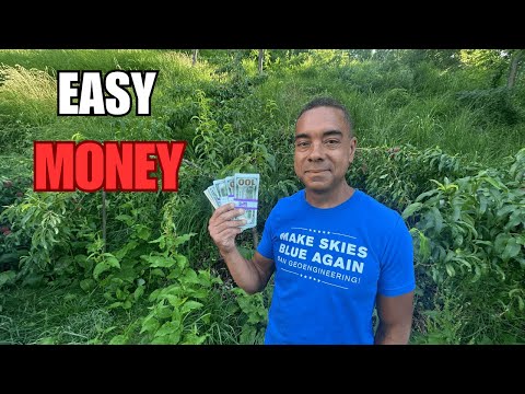 The $9 Secret That Can Make You Thousands (No Clickbait)!