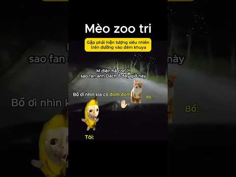 Không dám đi buổi tối luôn