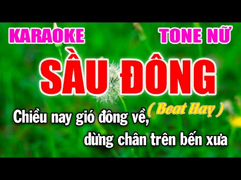 Sầu Đông Karaoke Tone Nữ ( Si Thứ Bm ) Nhạc Trẻ 8x 9x | Làng Hoa
