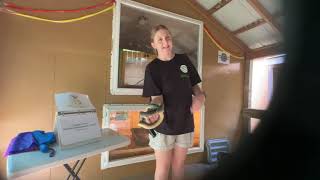 Snake Week 2025 - Wed, July 16 - “Kingsnake Ecology”