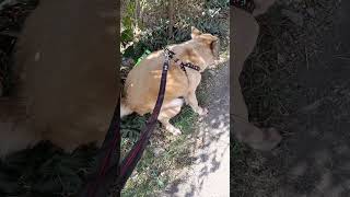 Wag mo akong storbohin na popo Ako😂😂😂