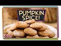 Understanding Pumpkin Spice and Its Ingredients