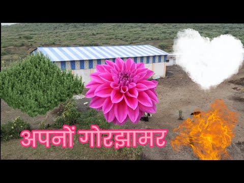 Apno Gourjhamar sagar m.p🌾 अपनो गौरझामर सागर मध्यप्रदेश #tranding #video🙏🌾