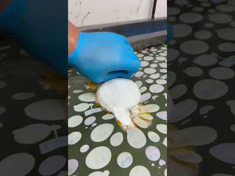 Hydro Dipping Labubu #satisfyingvideo #labubu