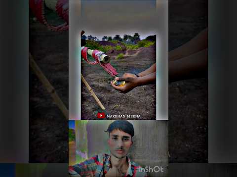 WAIT for end ๐ The Best comedy seen #shortsfeed #comedy #shorts