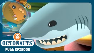 @Octonauts - 🪸 The Big Bad Great White Shark 🦈 | Full Episode | Cartoons for Kids