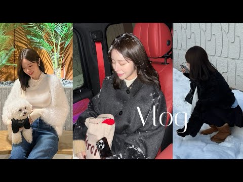 VLOG. 망개떡 맛집ㅣ맥날 베토디ㅣ대왕김밥과 이삭토스트ㅣ만두전골ㅣ김장김치에 삼겹살ㅣ갈치조림ㅣ치즈돈카츠ㅣ테일45ㅣ남편표 오일파스타🍝