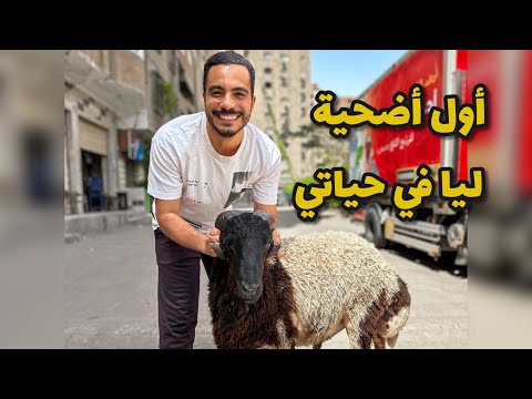 أجواء عيد الاضحي في مصر😍 | أول عام نضحي🥹