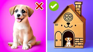 Clever Cardboard DIYs for You and Your Pet 🐾📦