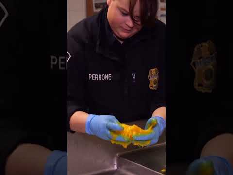 Por qué se destruyen 54 kilos de comida cada día en el JFK