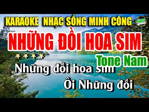 Karaoke Nhạc Trữ Tình Tone Nam Dễ Hát | Nhạc Vàng BOLERO Tuyển Chọn – NHỮNG ĐỒI HOA SIM