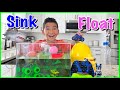 Sink or Float Experiment Concepts