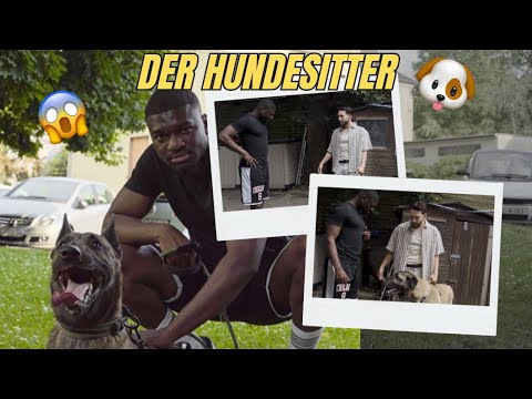 DER HUNDESITTER 🐶😱 mit CEM TV TEIL 3| FRANKY ALLSTAR