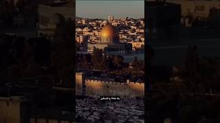 ما علمتك سورة يوسف؟! #reels #اكسبلور #trending #تاريخ #فلسطين #تيك_توك #لايك