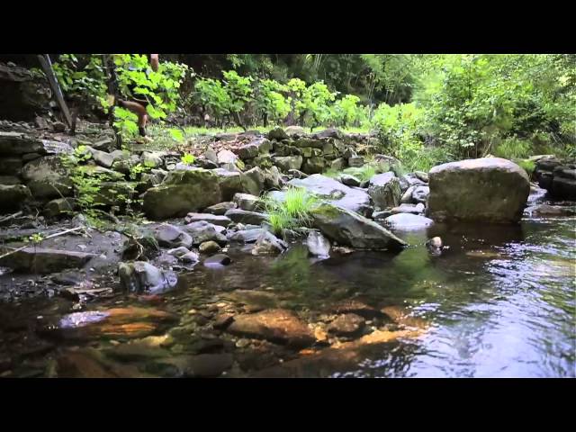 r ccua douro ultra trail