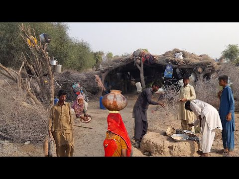 Tribal People are Living in Wooden Houses in Jungle || Desert People Life in Pakistan