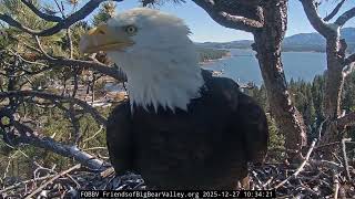 12-27-2025 Entertaining stick antics continue…