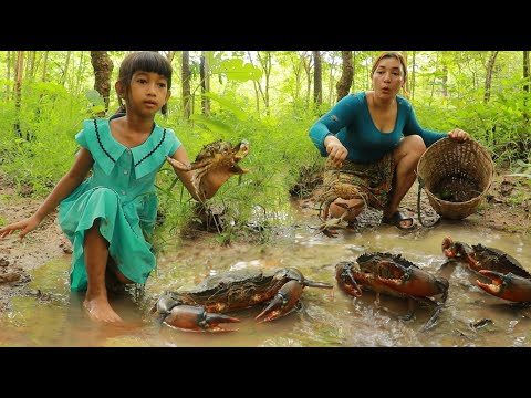 Catch many crab in rainforest- Boiled crab soup recipe for dinner eating delicious