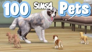 "VIERLINGE?!" 😱 Der seltenste Baby Boom in der Sims 4 100 Pets Challenge