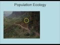 Ecological Concepts and Population Dynamics