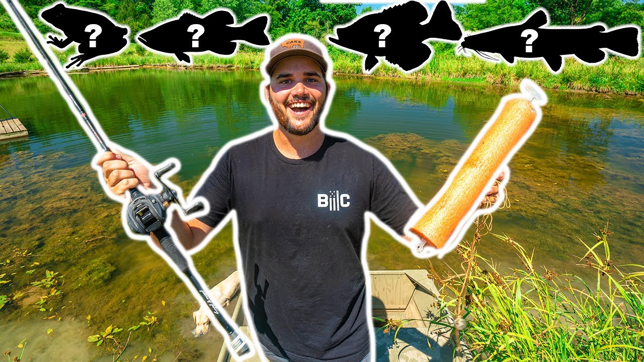 Catching and Cooking EVERY SPECIES in My BACKYARD POND!