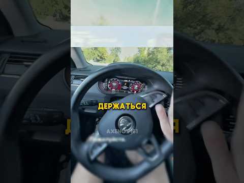 Парень прокатил свою маму на заряженной Шкоде #авто