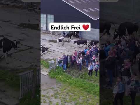 Unglaublich wie glücklich sie sind 😍