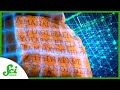 Understanding Computer Vision and Neural Networks