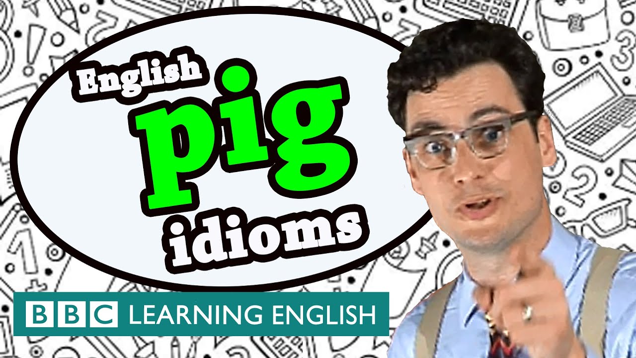Pig idioms - Learn English idioms with The Teacher