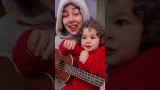 القطة المشمشية
