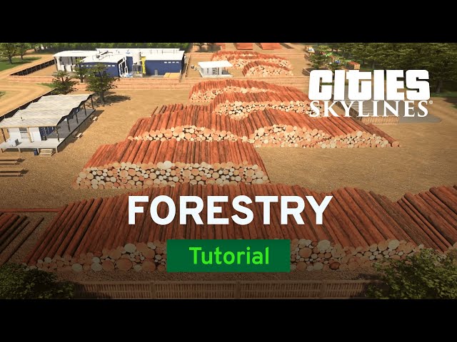 Grow Your Forestry Industry with TheTimeister | Tutorial | Cities: Skylines