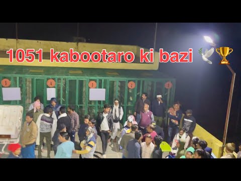 Live chaman bidi vale ki udan 2024 🥳🕊️