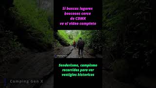 ¿Sabes a que animal corresponden estas huellas?
