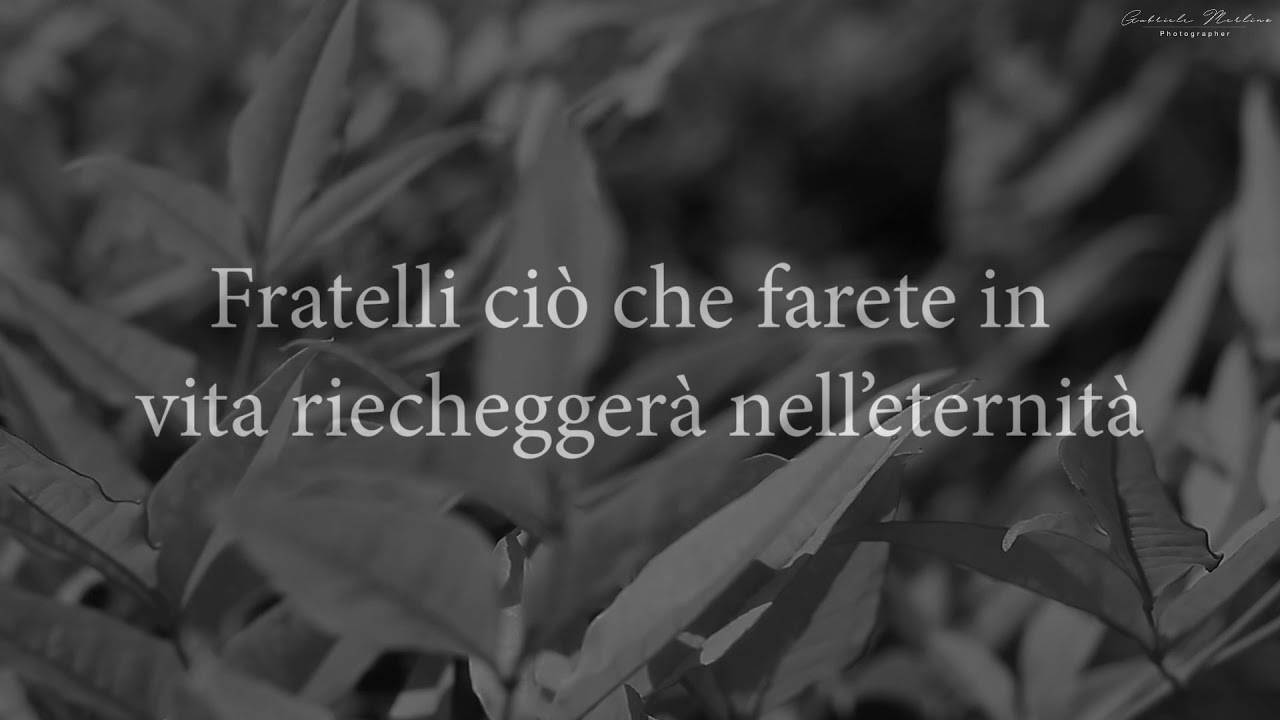 merlin_photo