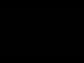 Understanding the Video Transcript