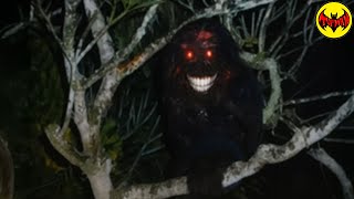 This Creature Was Never Supposed to Be Seen… But Someone Filmed It