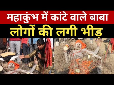 Mahakumbh 2025 | Prayagraj Mahakumbh | Kante Wale Baba Viral Video