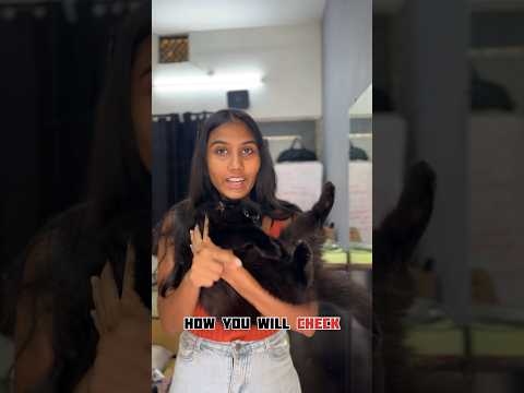 How you will check if your cat is smart enough??🐱 #cat #feline #youtubeshorts #felinefriend