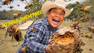 Me COMI un panal de ABEJAS con su deliciosa MIEL y están muy BRAVAS.