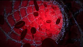 Thromboembolic Drugs Part 2: Mechanism of Action for Antiplatelets