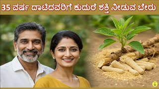 Ashwagandha Health Benefits for 35+ | Stress Relief, Better Sleep & Energy Boost